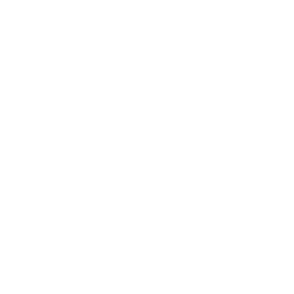ONE NICO